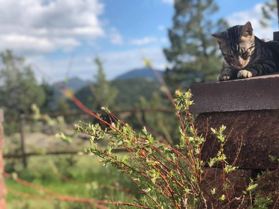 Boulder Best City And Nature With Lake And Trails Pets Ok ภายนอก รูปภาพ